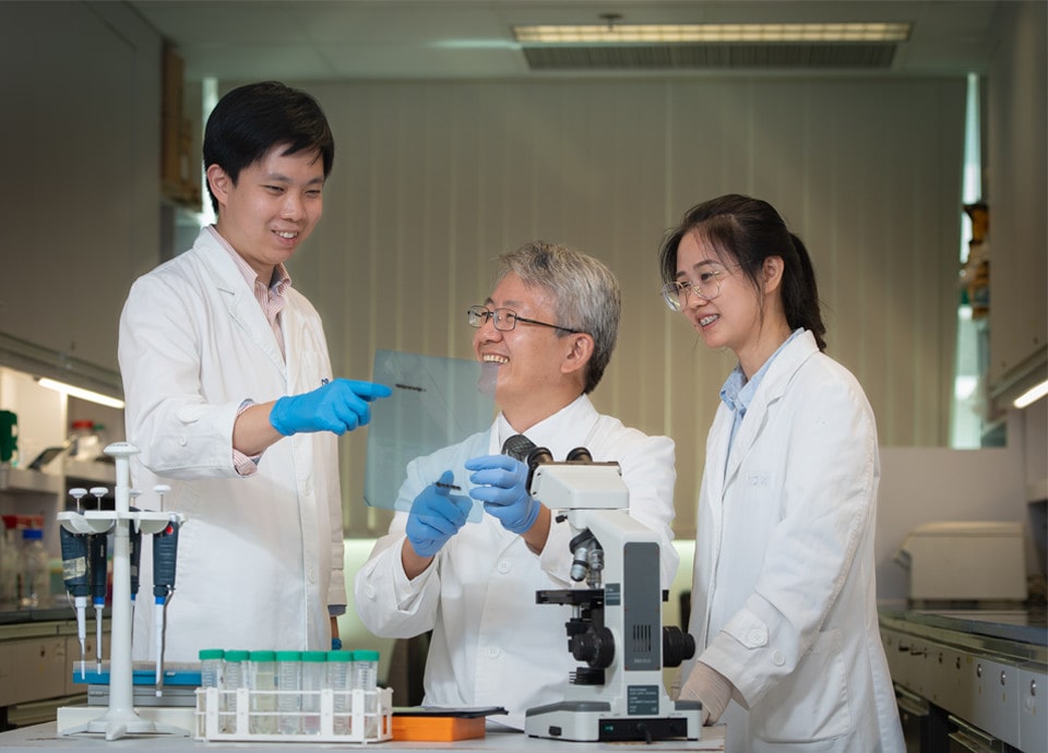 Centre For Chinese Herbal Medicine Drug Development InnoHK 